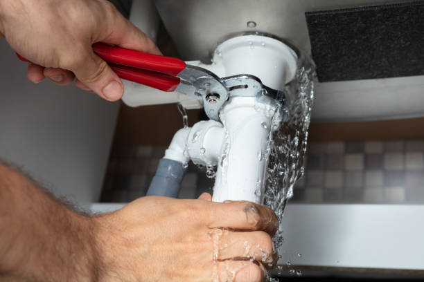 Best Flood damage cleanup  in , TN