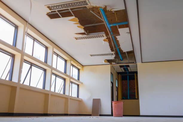 Best Residential water damage restoration  in , TN