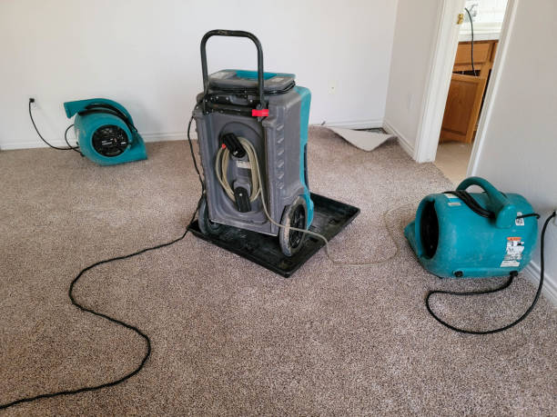 Best Water damage restoration cost  in , TN