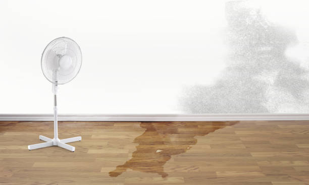 Best Emergency water damage restoration  in , TN
