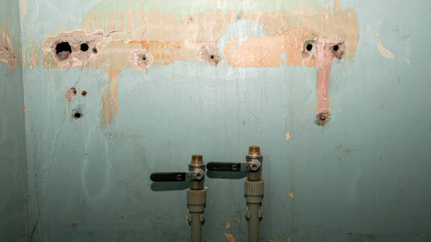 Best 24/7 water damage repair  in , TN