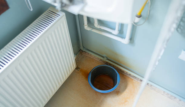 Best Water damage restoration near me  in , TN