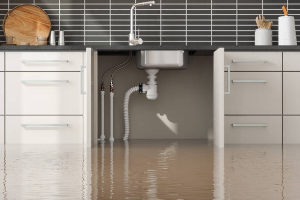 Best Sewage cleanup and water damage restoration  in , TN
