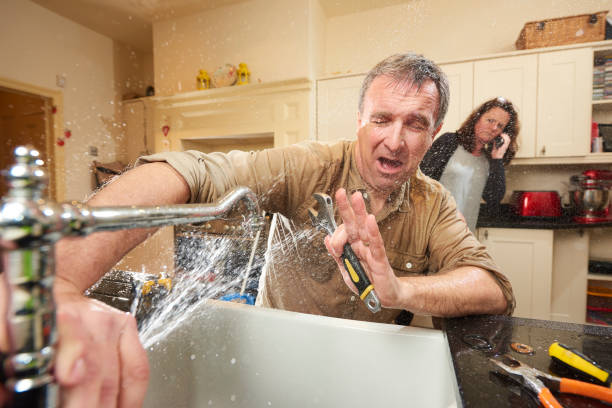 Best Professional water damage repair  in , TN